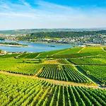 Labed - Wohnen Direkt An Der Drosselgasse, Stilvolle Mit Rheinblick *