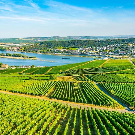 Rhine View By The Drosselgasse! *