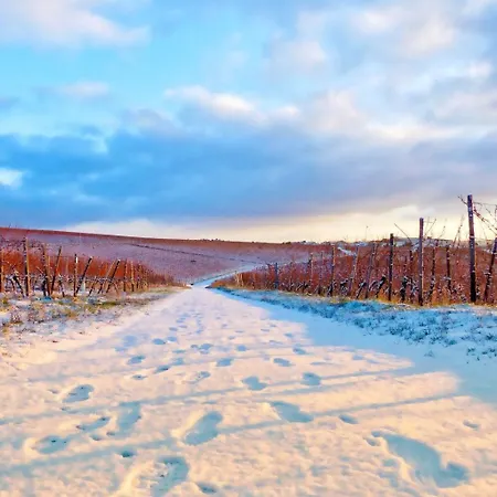 Labed - Wohnen Direkt An Der Drosselgasse, Stilvolle Mit Rheinblick *