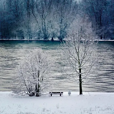 Labed - Wohnen Direkt An Der Drosselgasse, Stilvolle Mit Rheinblick *