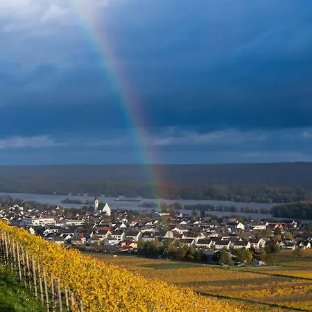 Lejlighed Rhine View By The Drosselgasse! *