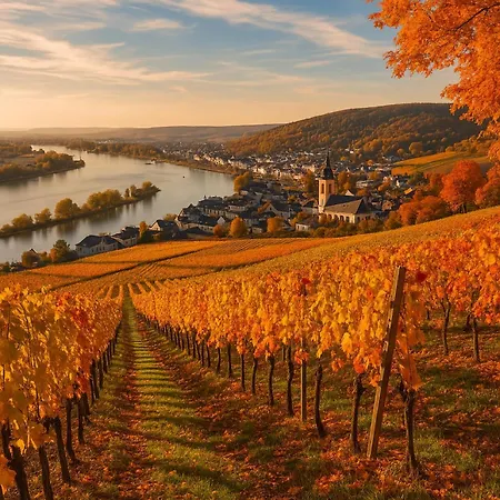Rhine View By The Drosselgasse! Lejlighed *