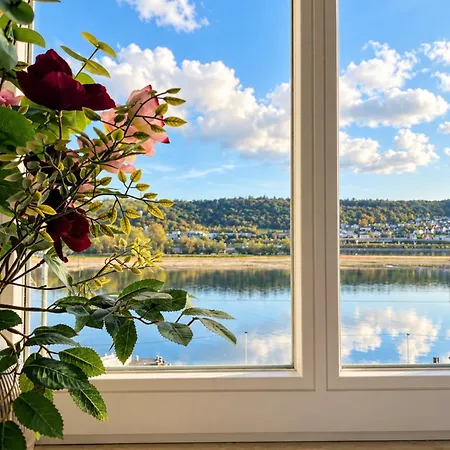 Rhine View By The Drosselgasse! Lejlighed Rüdesheim am Rhein